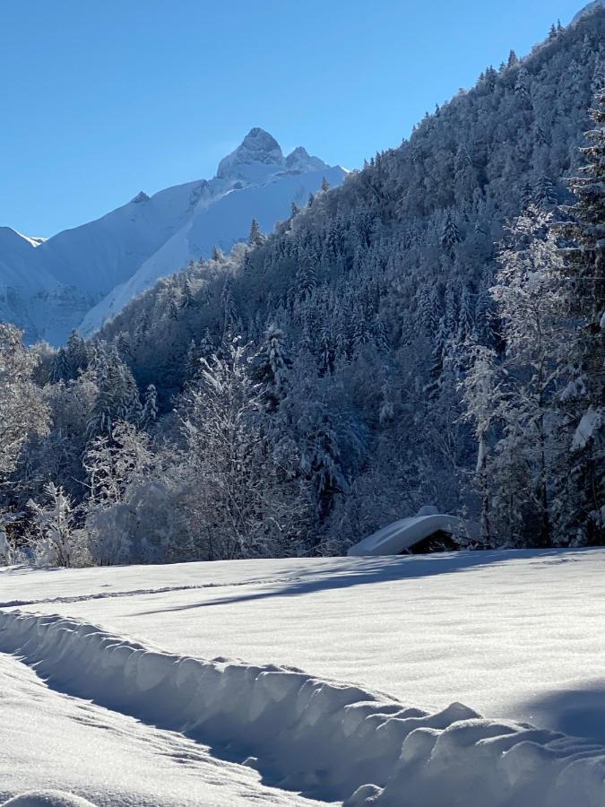 Landhaus Am Plattenbichl - Luxus Apartment Mit Privat-Pool Und Sauna - Im Sommer Bergbahn Inklusive Oberstdorf Extérieur photo