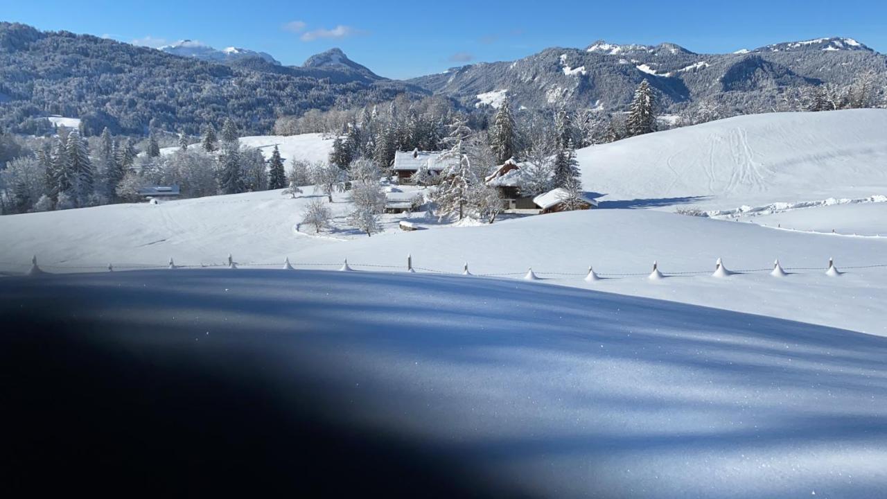 Landhaus Am Plattenbichl - Luxus Apartment Mit Privat-Pool Und Sauna - Im Sommer Bergbahn Inklusive Oberstdorf Extérieur photo