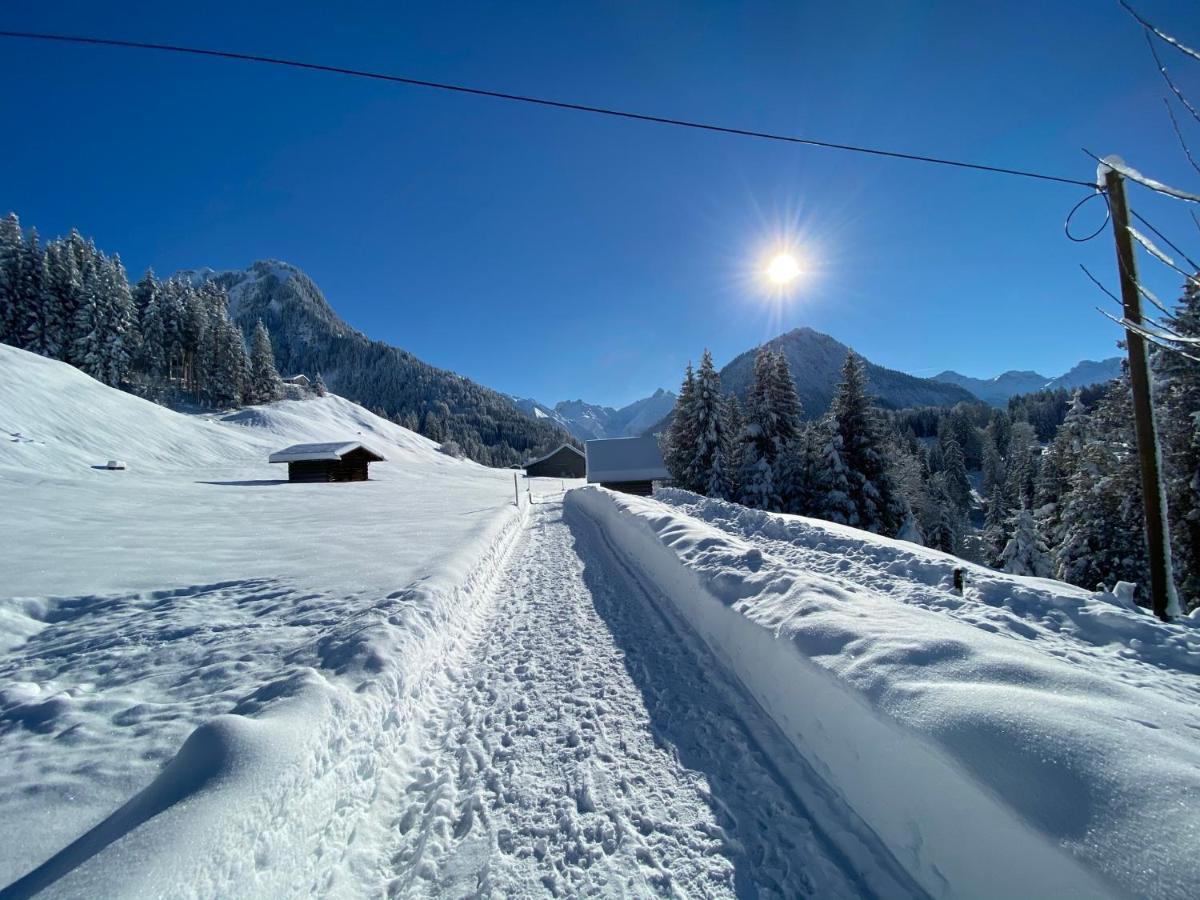 Landhaus Am Plattenbichl - Luxus Apartment Mit Privat-Pool Und Sauna - Im Sommer Bergbahn Inklusive Oberstdorf Extérieur photo